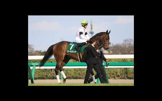 オークスは距離適性よりも能力。穴党記者が推す自信の５頭に旨味あり