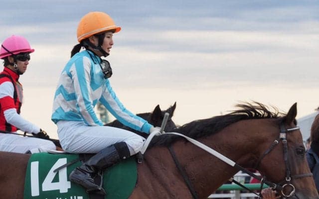 ブラゾンドゥリス号が競走馬登録抹消