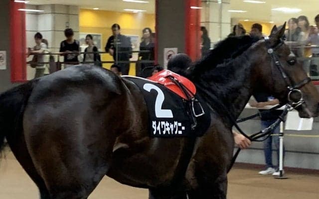 【メイS】東京巧者ダイワキャグニーが久々の勝利！