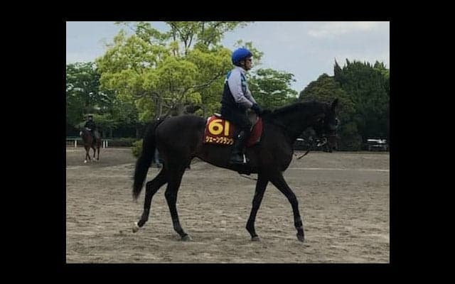 【オークス】シェーングランツ 藤沢和師「距離伸びるのは有利」