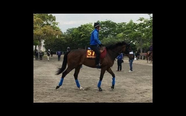 【オークス】カレンブーケドール 国枝師「距離伸びても問題ないと思う」