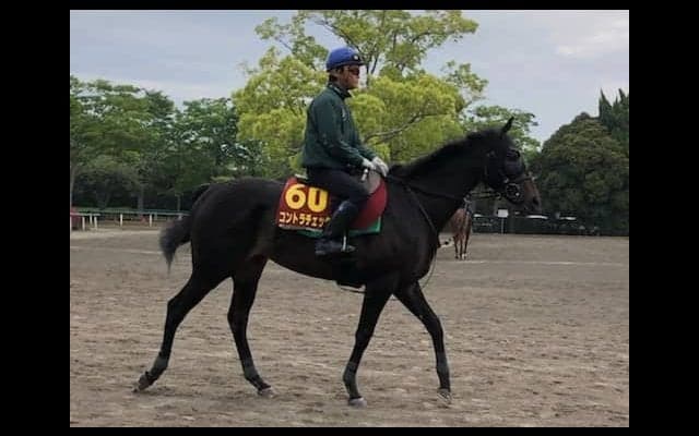【オークス】コントラチェック 関東のエース格レーン騎乗で不安なし