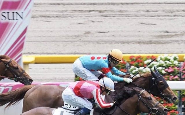 【東京5R】ポルーニンが2連勝！圧倒的人気ヘイワノツカイは4着