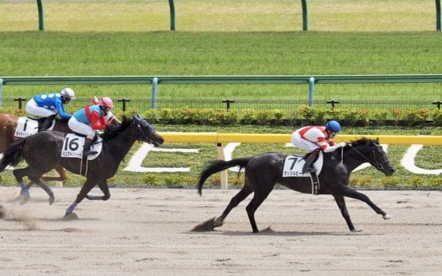 【東京6R】マッスルビーチが2馬身差の快勝！2勝目