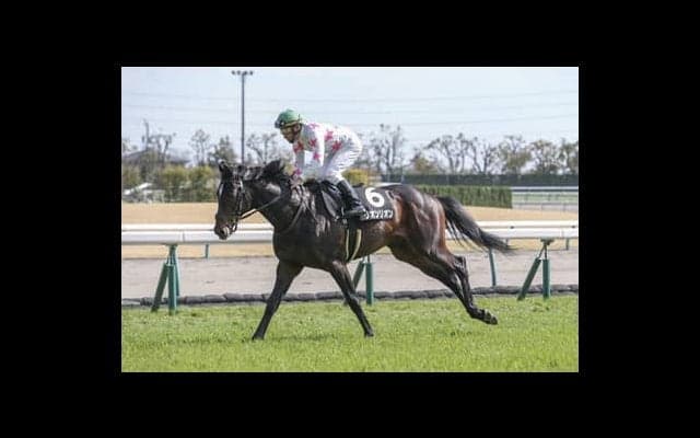 対抗馬は？　ダービーでサートゥルナーリアが負ける条件を探ってみた