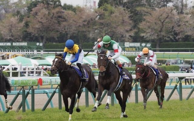 【日本ダービー】出走馬の調教後の馬体重