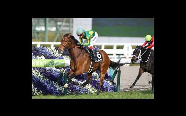 穴党記者も皐月賞馬に白旗宣言。ダービーは馬券に絡める穴馬を狙え