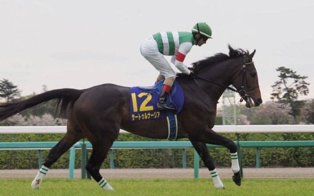 【日本ダービー】枠順と見どころ サートゥルナーリアは3枠6番