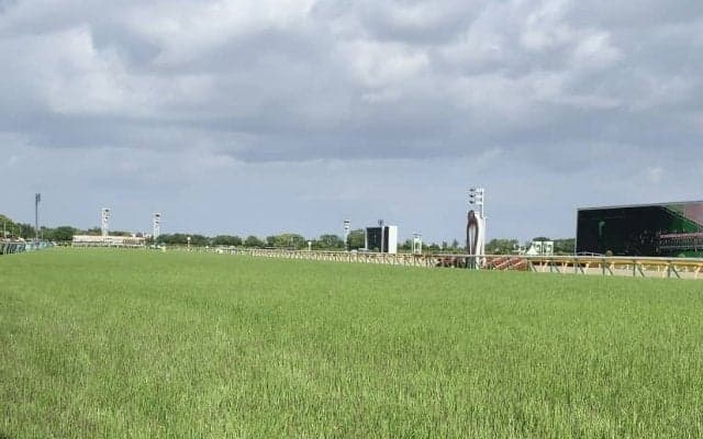 東京競馬場の馬場情報 今週からCコースを使用