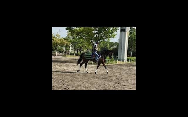 【目黒記念】ブラストワンピース 大竹師「凱旋門賞を考えてのもの」