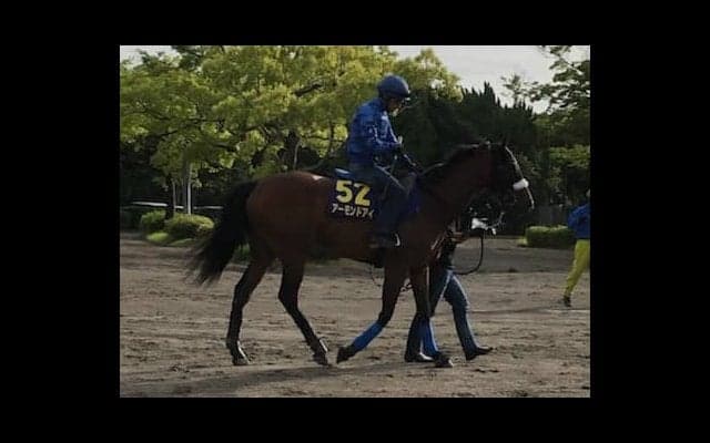 【安田記念1週前】アーモンドアイ ルメール アーモンドアイはパーフェクト」