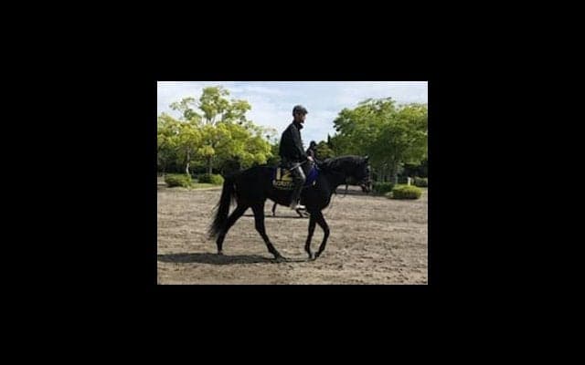 【日本ダービー】ダノンキングリー 戸崎「今年は勝ちたいですね」