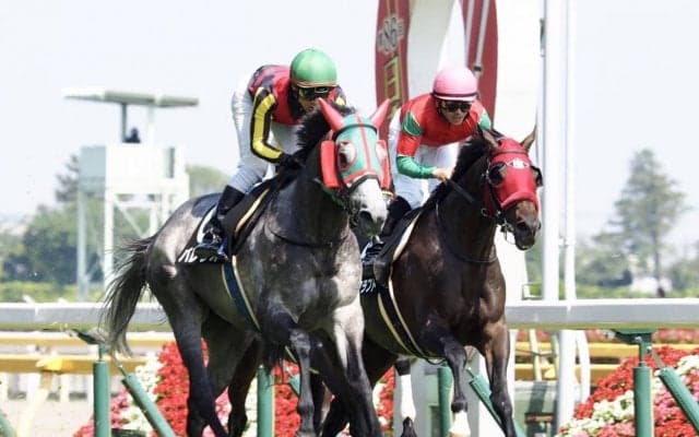 ダービーと同距離 青嵐賞はバレリオが快勝！勝ちタイムは2分23秒5