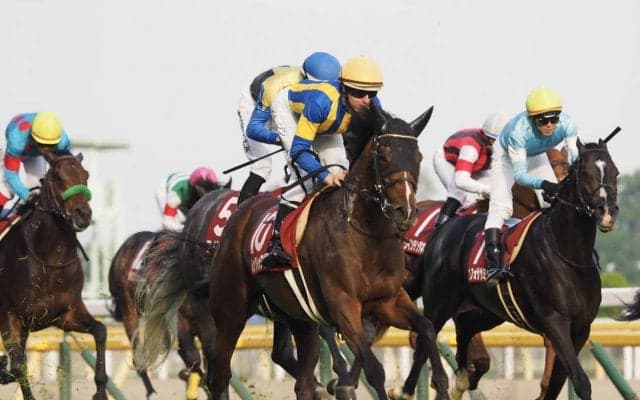 【目黒記念】ルックトゥワイスがレコードV！2分28秒2