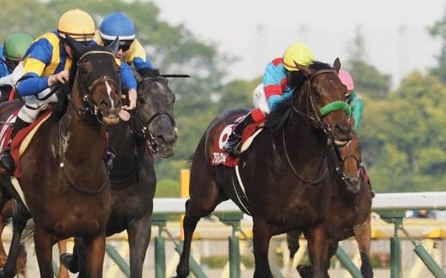 【目黒記念】ブラストワンピース伸び切れず8着…池添「同じ脚色に…」