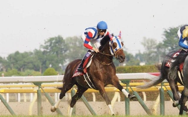 【目黒記念】武豊「突き抜けそうな感じはあったけど…」ムイトオブリガードは5着