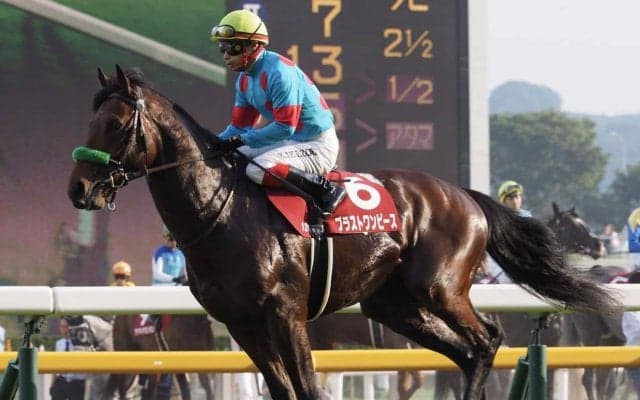 【目黒記念】大竹師「最後に止まったのは初めて」レース後 関係者コメント