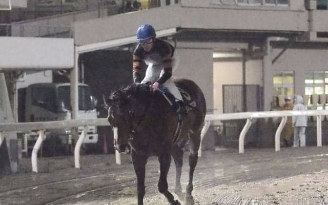 【さきたま杯】枠順と見どころ キタサンミカヅキは1枠1番