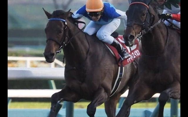 アドマイヤエイカン号が競走馬登録抹消