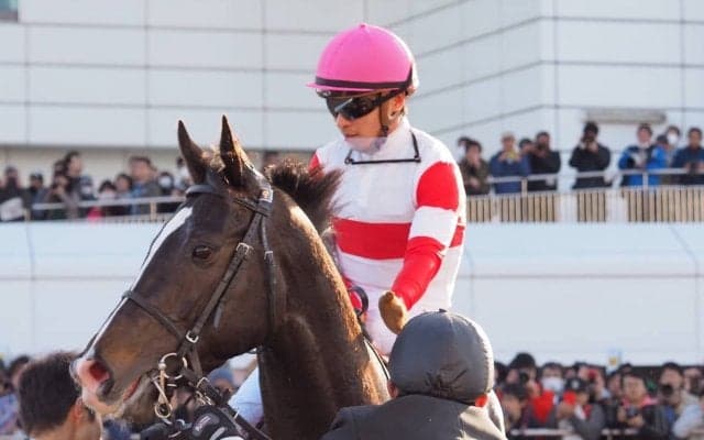 【安田記念】出走馬の調教後の馬体重