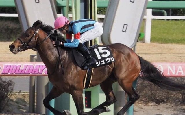 【北海道スプリントC】JRA出走予定馬