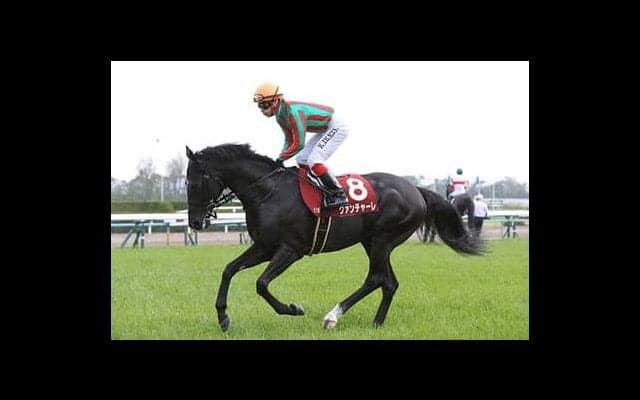 「２強」を悩ます高速馬場。安田記念の穴馬は前の２頭か後ろの２頭か