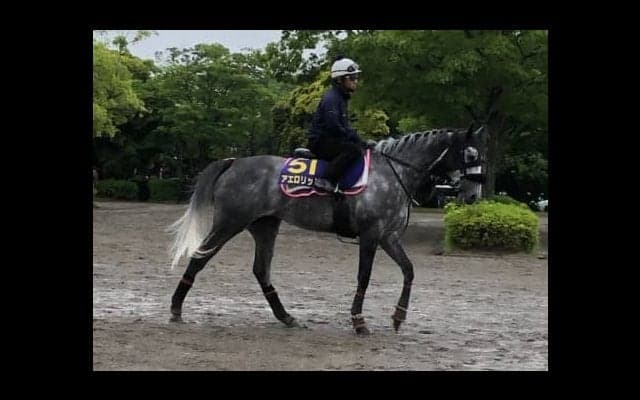 【安田記念】アエロリット 昨年は落鉄で2着