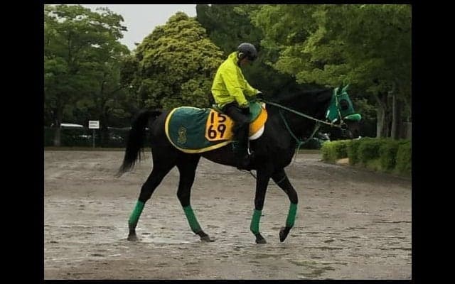 【鳴尾記念】ブラックバゴ 斎藤誠師「阪神コースは合う」