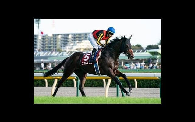 現役最強馬決定戦となる安田記念。馬券的な妙味は「第三の馬」に託せ