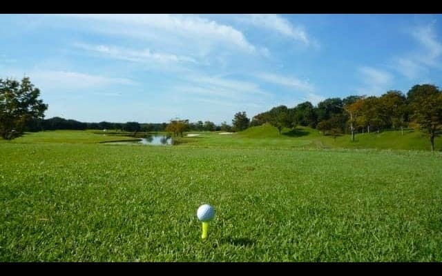 野球選手がリハビリ期間にゴルフをする事は悪い事なのか？日米反応様々