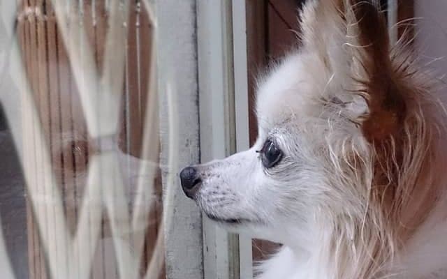 VWサマーフォトコンテスト開催、優秀作品は2020年公式カレンダーに採用