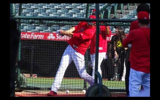 【MLB】大谷翔平、6連発含む9本の柵越え　2戦連発へ監督も期待「調子を取り戻し始めてる」