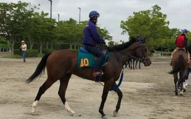 【注目新馬】ワーケア  セレクトセール1億2000万越えの期待馬登場