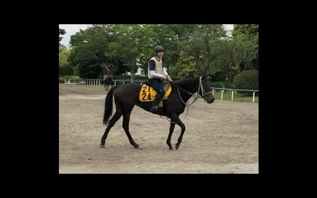 【マーメイドS】レーツェル 51キロで出番あり！