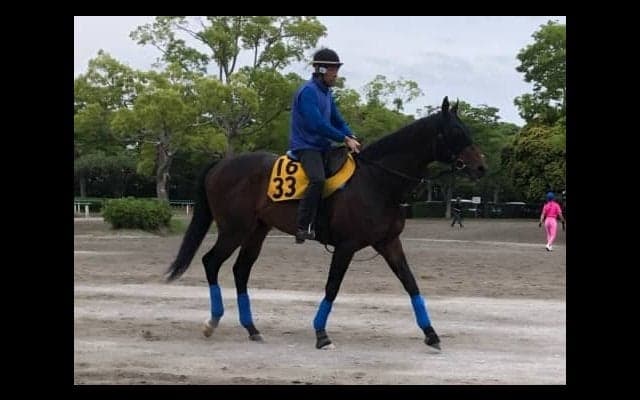 【エプソムC】プロディガルサン 3戦連続2着の安定感