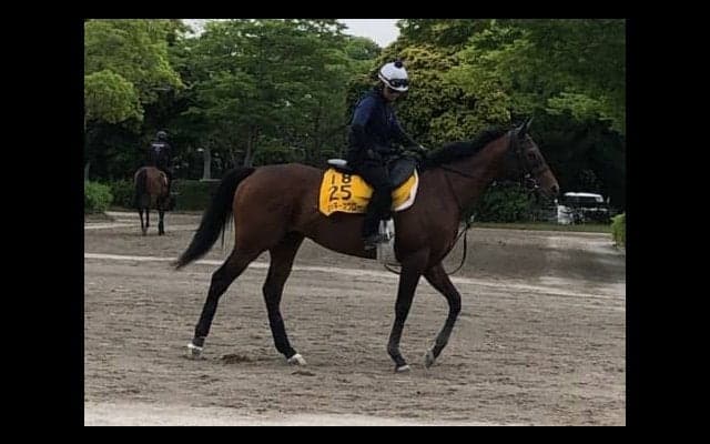 【エプソムC】ミッキースワロー 別定56キロなら力上位