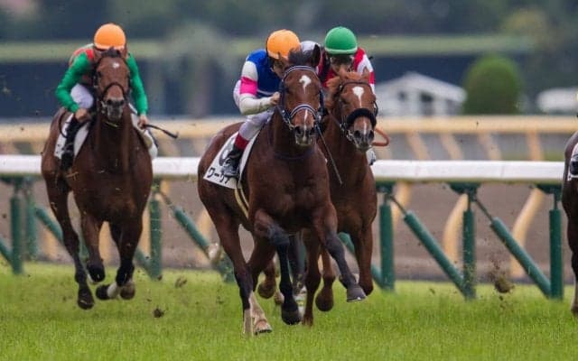 【新馬/東京5R】ワーケアが断然の人気に応えて圧勝！