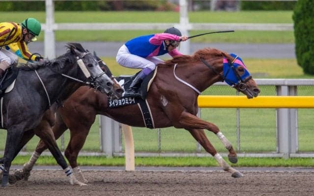 【小金井特別】武豊 メイショウミライがハナ差の接戦を制する
