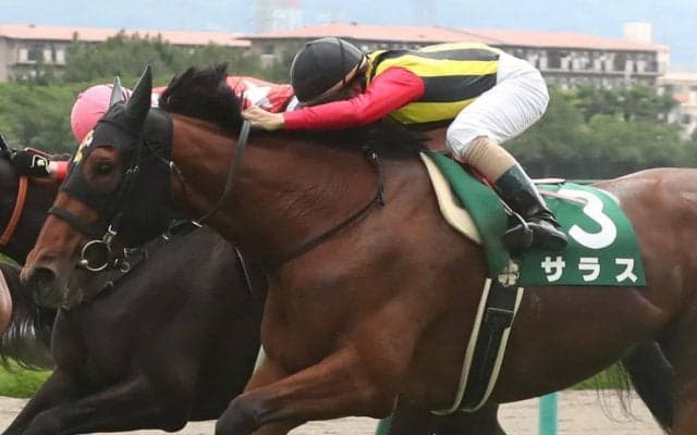 【マーメイドS】松若「必死に追いました」サラスが差し切りV！