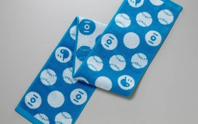 夏の高校野球オフィシャルグッズ発売…タオルや記念球など