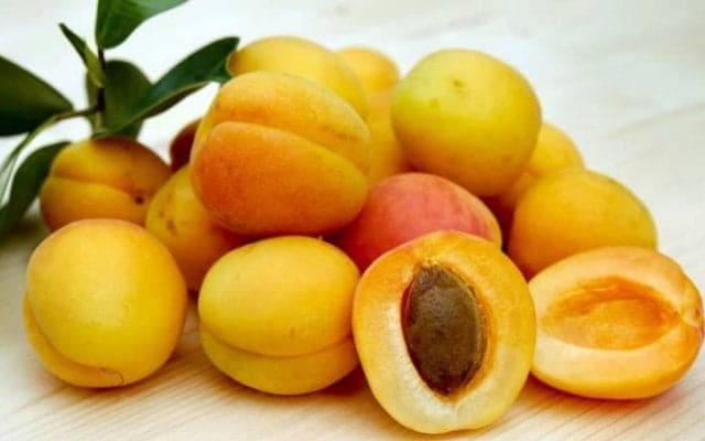 あんずの驚くべき効果効能