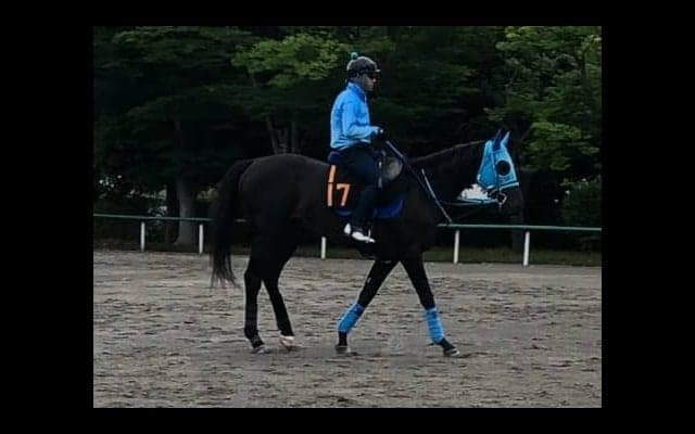 【ユニコーンS】ヴァイトブリック 和田郎師「次のことは考えずに全力投球」