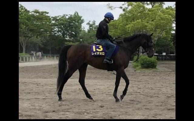 【宝塚記念1週前】レイデオロ ルメール「前が流れてくれるといいですね」