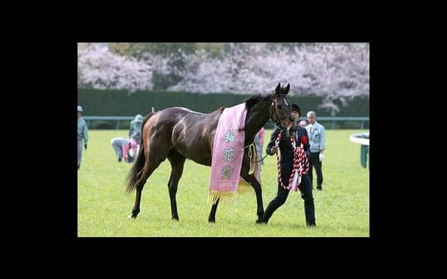 グランアレグリアの全弟ブルトガング「調教の動きはよくなっている」