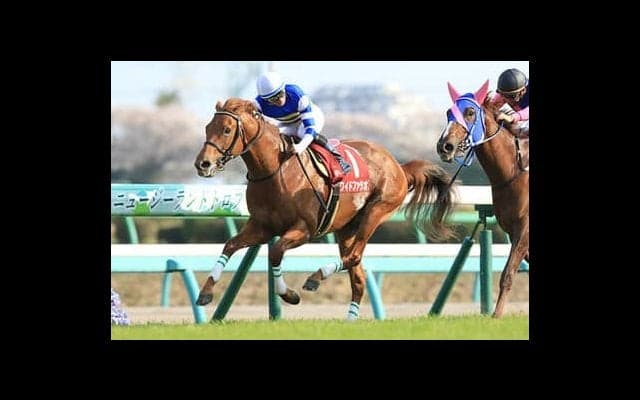 ユニコーンＳで穴党記者の意見が合致。ワイドファラオが砂嵐を起こす