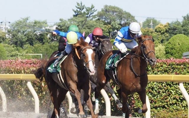 【ユニコーンS】ワイドファラオが逃げ切り！芝ダートで二刀流