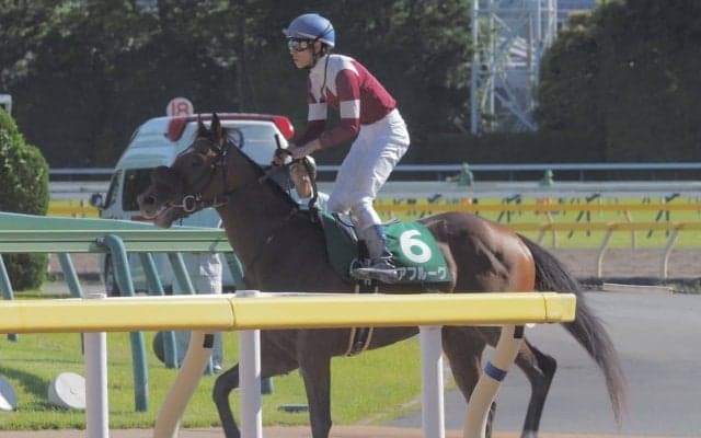 【ユニコーンS】津村「伸びませんでした…」デアフルーグは初めて連対を外す