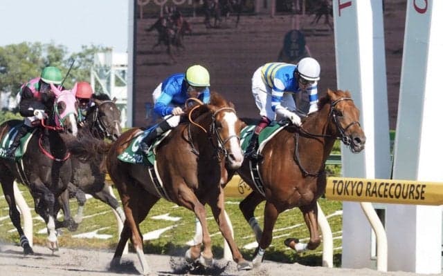 【ユニコーンS】好天にも恵まれ入場者数もアップ