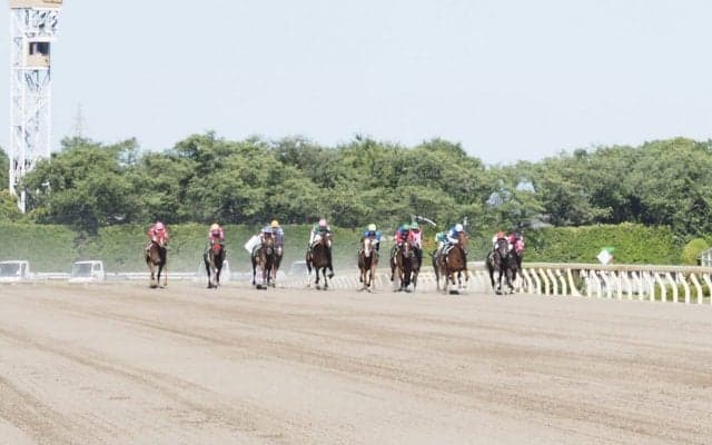 【ユニコーンS】安田隆師「首の上げ下げの差」レース後 関係者コメント
