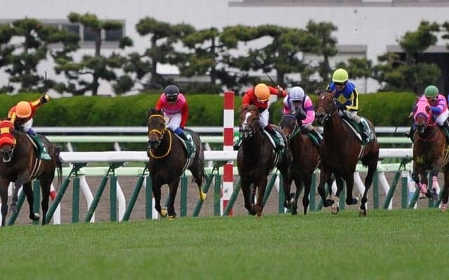 【函館スプリントS】小崎綾「古馬相手にやれる」レース後 ジョッキーコメント